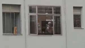 Задник к фильму "Витория" #726124