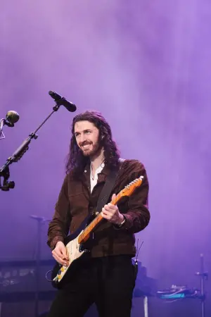 Постер к фильму "Hozier - Live at Lollapalooza Brazil 2024"