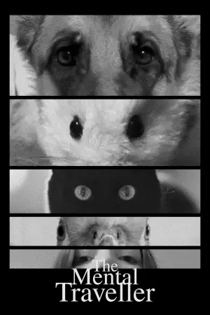 Постер к фильму "The Mental Traveller"