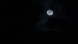 Задник к фильму "Один дома" #849084