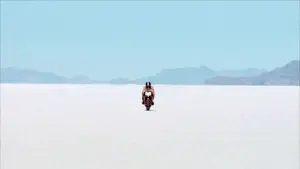 Задник к фильму "Бурый кролик" #348681