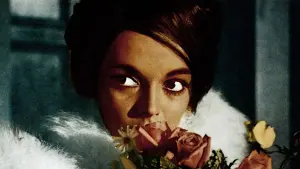 Задник к фильму "" #502103