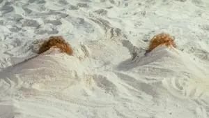 Задник к фильму "Барб и Звезда едут в Виста дель Мар" #364537