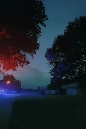 Постер к фильму "Идеальная соседка" #564978