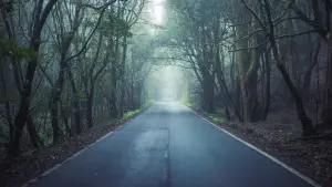 Задник к фильму "Свистуны" #405946