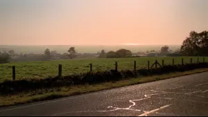 Задник к фильму "Хэллоуин 3: Сезон ведьм" #489259