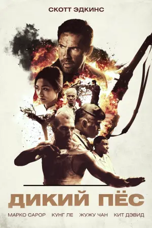 Постер к фильму "Дикий пёс" #85612