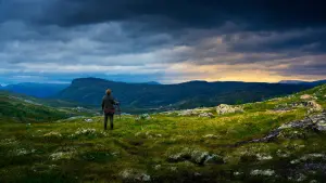 Задник к фильму "Эспен в королевстве троллей" #260486