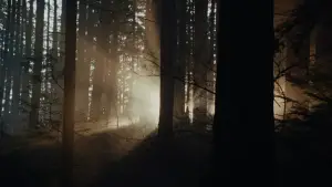 Задник к фильму "Крипер" #514441