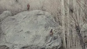 Задник к фильму "" #685083