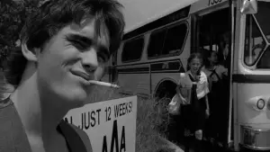 Задник к фильму "Бойцовая рыбка" #720954