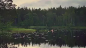 Задник к фильму "Аниара: Космическая обитель" #307828