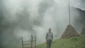 Задник к фильму "Памфір" #440667