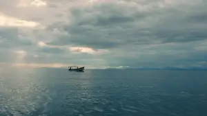 Задник к фильму "Pescador" #923574