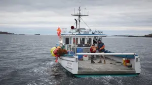 Задник к фильму "Манчестер у моря" #208342