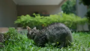 Задник к фильму "" #540354