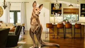 Задник к фильму "Прыгучая братва" #420101