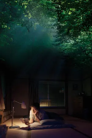 Постер к фильму "Идеальные дни" #311455