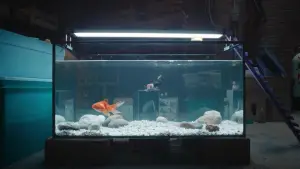 Задник к фильму "Дорогая, я уменьшаюсь" #526991