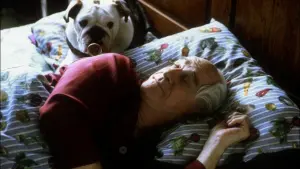 Задник к фильму "Мистер Магу" #432029