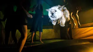 Задник к фильму "Проект X: Дорвались" #258136