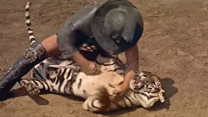 Задник к фильму "Деметрий и гладиаторы" #406081