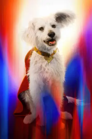 Постер к фильму "" #514262