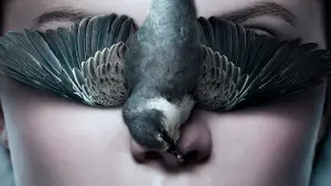 Задник к фильму "Тельма" #257717