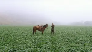 Задник к фильму "Нефть" #624091