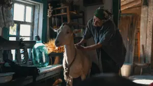 Задник к фильму "Війна очима тварин" #692705