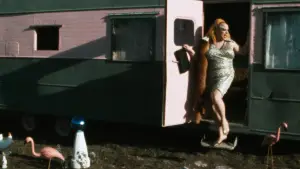 Задник к фильму "Розовые фламинго" #612055