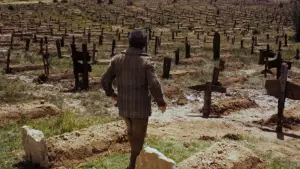 Задник к фильму "Хороший, плохой, злой" #582122