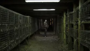 Задник к фильму "След зверя" #491798