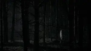 Задник к фильму "Ведьма" #600220