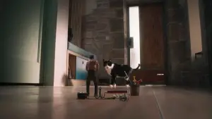 Задник к фильму "Дорогая, я уменьшаюсь" #526987