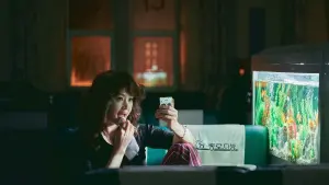 Задник к фильму "Контрабандистки" #355176