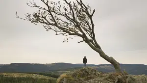 Задник к фильму "Нимфоманка: Часть 2" #265878