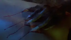 Задник к фильму "Вой" #725949