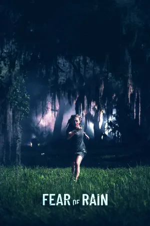 Постер к фильму "Девушка, которая боялась дождя" #136562