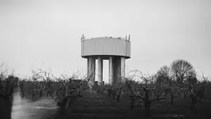 Задник к фильму "Terraforms" #782443