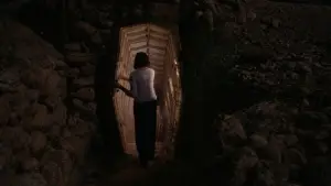 Задник к фильму "טרופיקנה" #788972