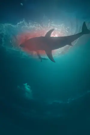 Постер к фильму "На глубине страха" #162443