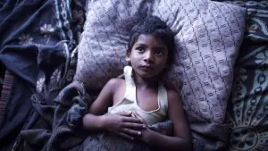 Задник к фильму "Лев" #178528