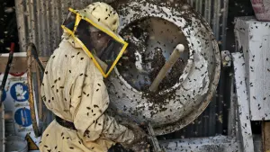 Задник к фильму "Чудеса" #461699