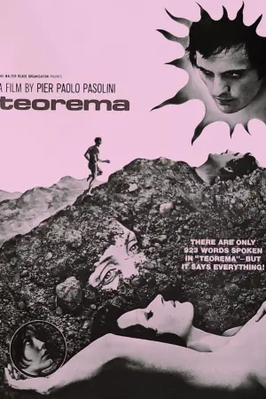 Постер к фильму "Теорема" #440166