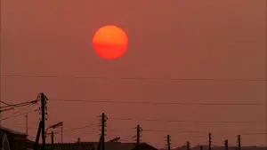 Задник к фильму "Тридцать семь и два по утрам" #485169