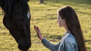 Задник к фильму "Чёрная красавица" #179858