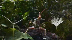 Задник к фильму "" #658504