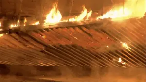 Задник к фильму "Мега-акула против Меха-акулы" #362081