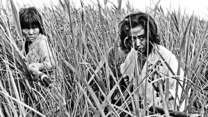 Задник к фильму "Женщина-демон" #202440